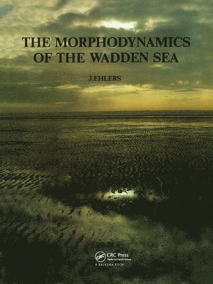 The Morphodynamics of the Wadden Sea 1