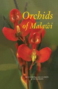 bokomslag Orchids of Malawi