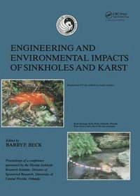 bokomslag Engineering and Environmental Impacts of Sinkholes and Karts