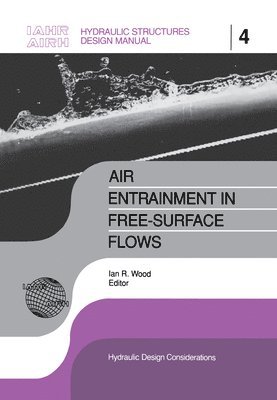 Air Entrainment in Free-surface Flow 1