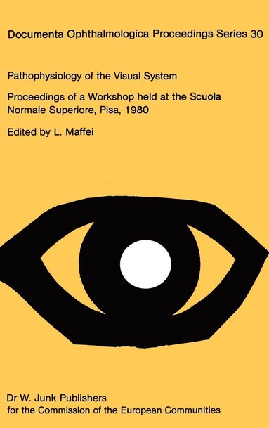 L. Maffei - Pathophysiology of the Visual System, Inbunden