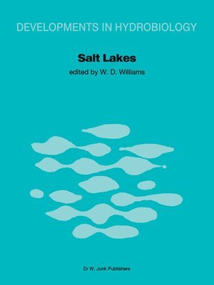 bokomslag Salt Lakes