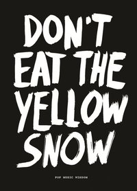 bokomslag Don't Eat the Yellow Snow: Pop Music Wisdom