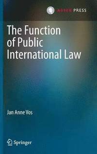 bokomslag The Function of Public International Law