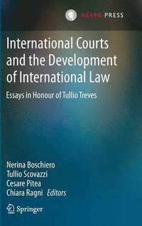 bokomslag International Courts and the Development of International Law