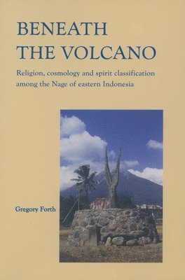 bokomslag Beneath the Volcano