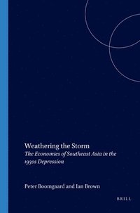 bokomslag Weathering the Storm