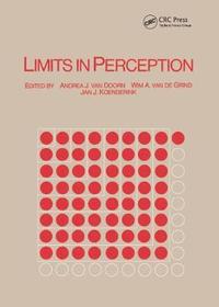 bokomslag Limits in Perception