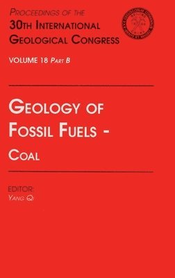 bokomslag Geology of Fossil Fuels --- Coal
