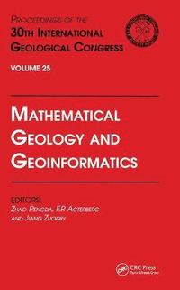 bokomslag Mathematical Geology and Geoinformatics
