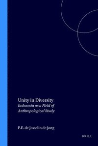 bokomslag Unity in Diversity