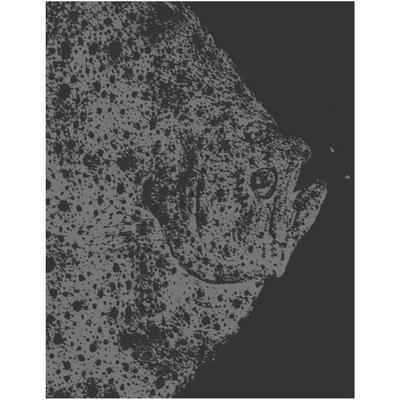 In the Deep Present, Inbunden