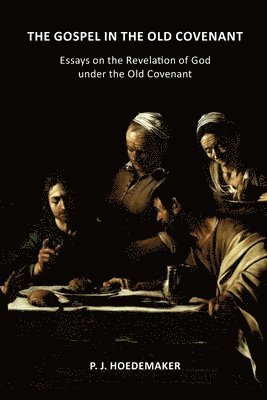 bokomslag The Gospel in the Old Covenant