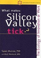 What makes silicon valley tick?