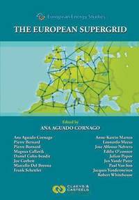 bokomslag European Energy Studies Volume VII: The European Supergrid