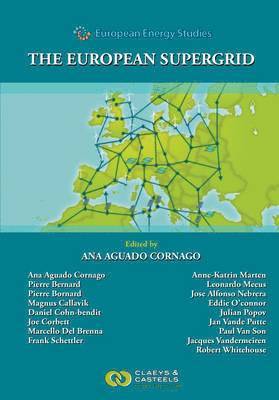 bokomslag European Energy Studies Volume VII: The European Supergrid