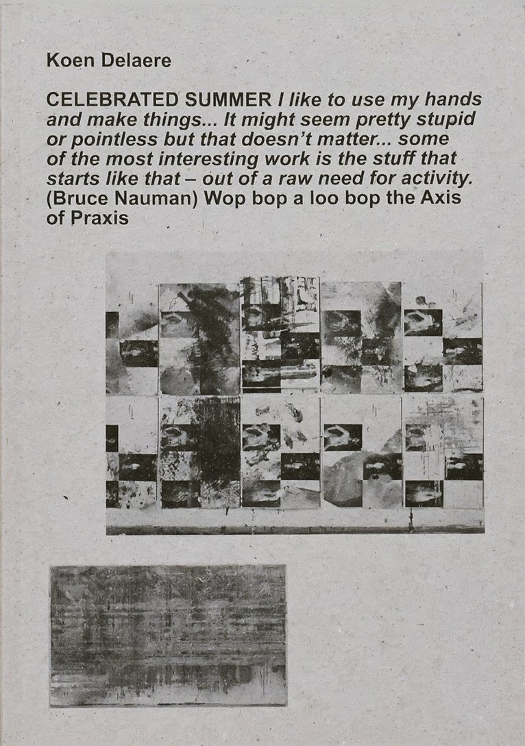 Nancy Hoffmann, Hans Theys, Lorenzo Benedetti, Freek Lomme - Axis of Praxis, Häftad
