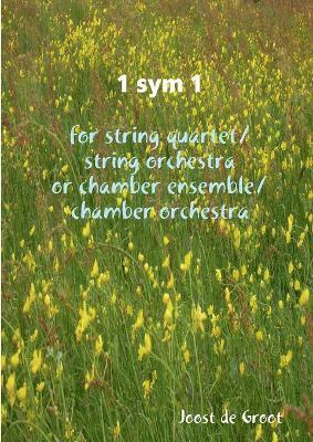 1 sym 1 for string quartet/string orchestra or chamber ensemble/chamber orchestra 1