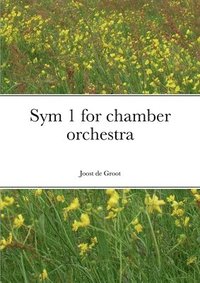 bokomslag Sym 1 for chamber orchestra