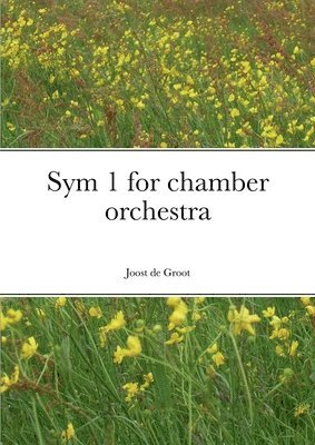 Sym 1 for chamber orchestra 1