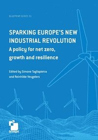 bokomslag Sparking Europe's new industrial revolution