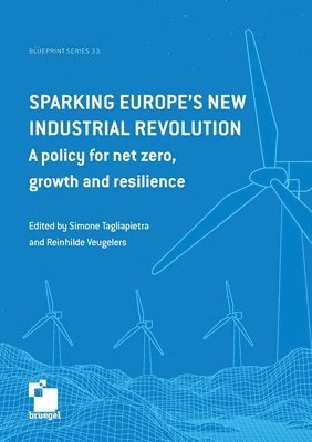 Simone Tagliapietra, Reinhilde Veugelers - Sparking Europe's new industrial revolution, Häftad