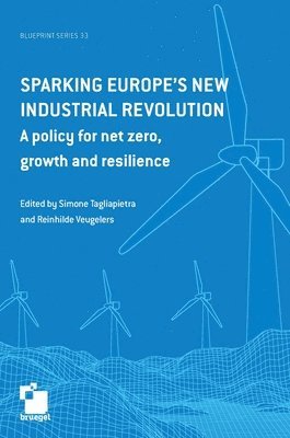 bokomslag Sparking Europe's new industrial revolution