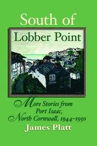 bokomslag South of Lobber Point