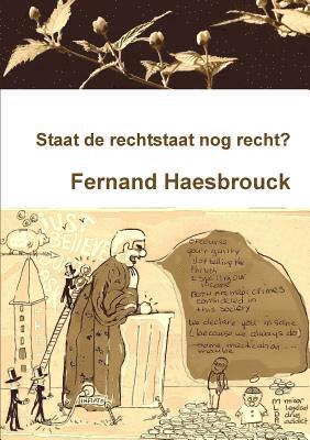 Fernand Haesbrouck - Staat de rechtstaat nog recht?, Häftad