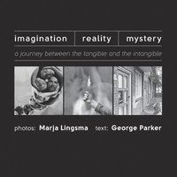 bokomslag Imagination-Reality-Mystery: a journey between the tangible and the intangible