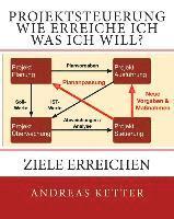 bokomslag Projektsteuerung Wie erreiche ich was ich will?: Ziele erreichen