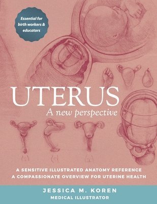 Jessica Mayer Koren - Uterus: A new perspective, Häftad