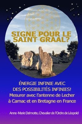 bokomslag SIGNE POUR LE SAINT GRAAL? ÉNERGIE INFINIE AVEC DES POSSIBILITÉS INFINIES! Mesurer avec l'antenne de Lecher à Carnac et en Bretagne en France