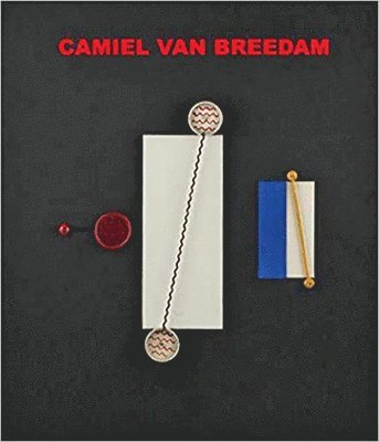 Exhibitions International - Camiel Van Breedam, Inbunden