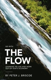 bokomslag The Flow