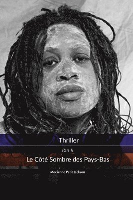 bokomslag Thriller Le Côté Sombre des Pays-Bas