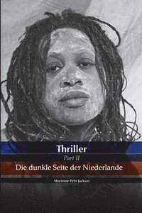 bokomslag Thriller Die dunkle Seite der Niederlande