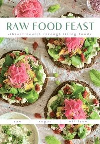 bokomslag Raw Food Feast