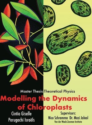 bokomslag Modelling the dynamics of chloroplasts