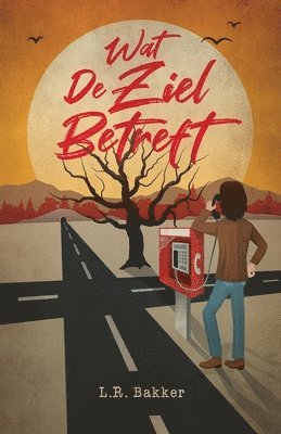 bokomslag Wat De Ziel Betreft