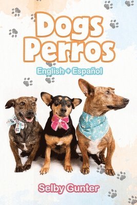 Dogs Perros 1