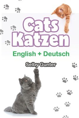 Cats Katzen 1