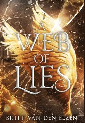 bokomslag A Web of Lies