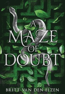 bokomslag Maze of Doubt