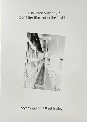 bokomslag I Shivered Violently / Don't be Startled in the Night
