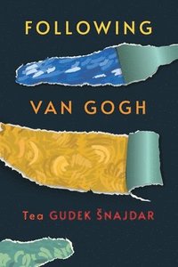 bokomslag Following Van Gogh