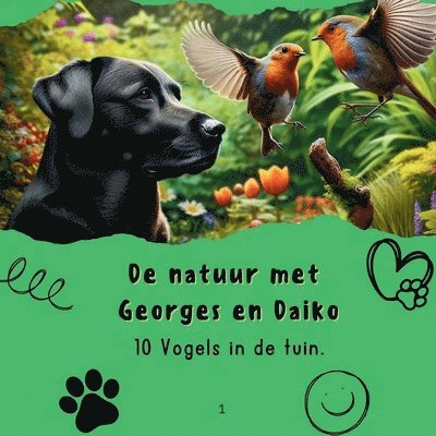 10 Vogels in de tuin.