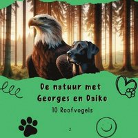 bokomslag 10 Roofvogels.