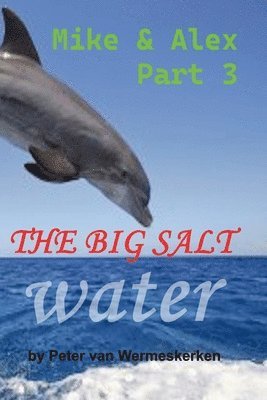 The Big Salt Water 1