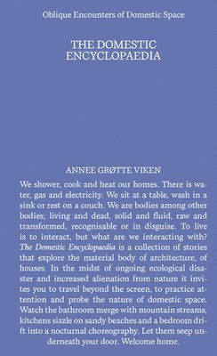 Domestic Encyclopedia: Oblique Encounters of Domestic Space